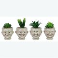 Patio Trasero Resin Goofy Face Planter with Succulent, 4 Assortment PA3283775